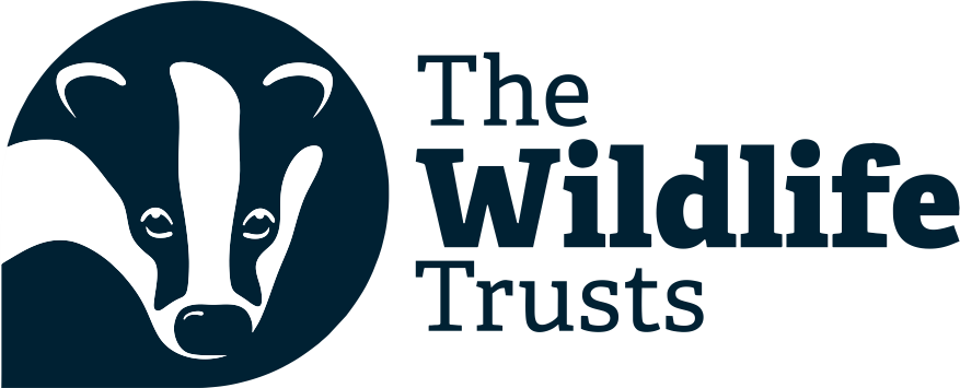 Logo for WILDLIFE TRUSTS